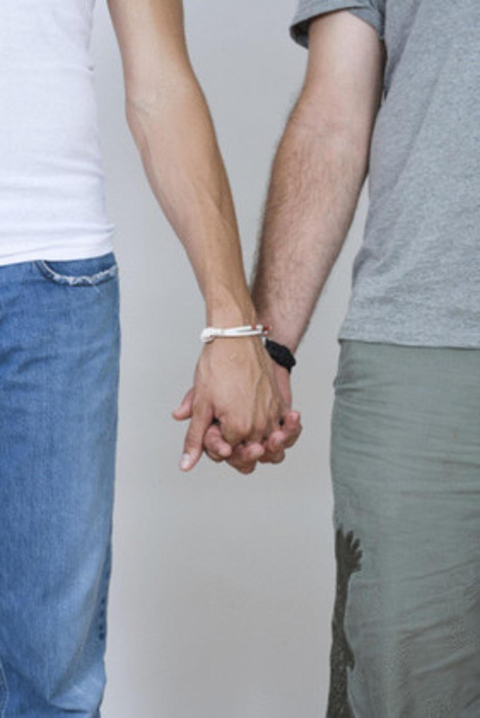 Idaho Ministers Told to Perform Gay Marriages or Face Jail