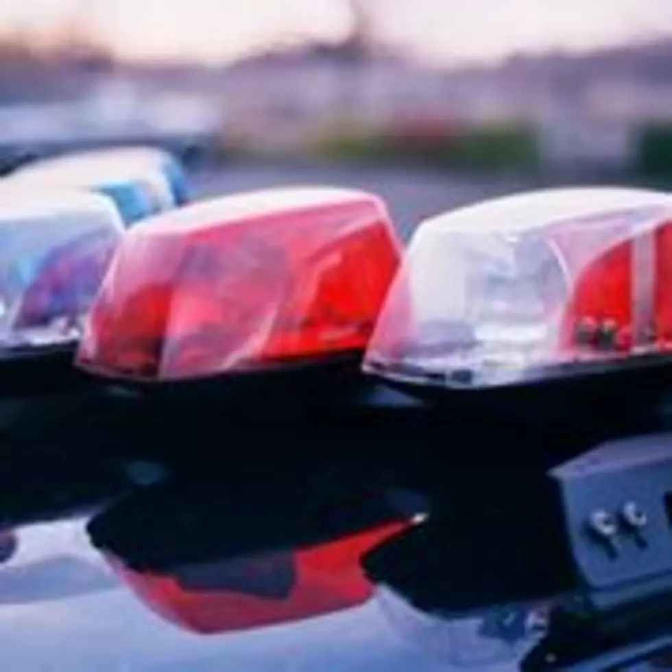Idaho Man Arrested After Running Into Police Car