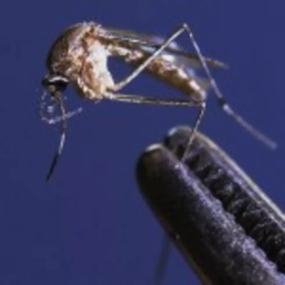 Mosquito Season Early in Canyon County