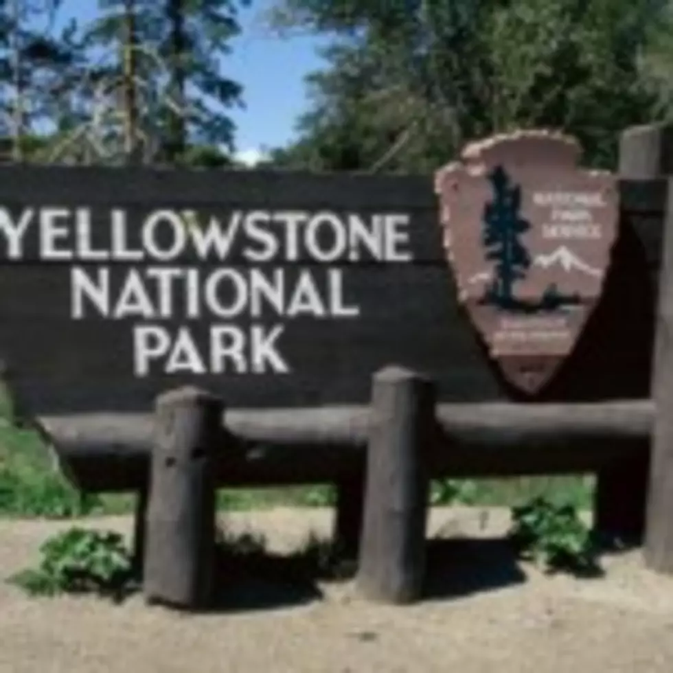 Some Yellowstone Roads Set to Open