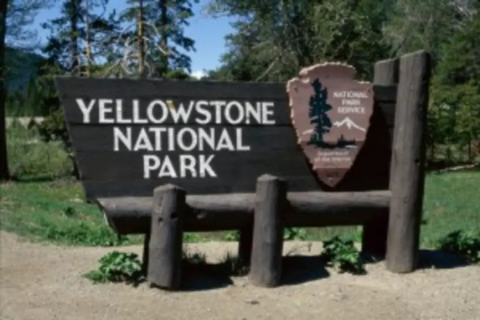 New York Tourist Falls Tying to Take Picture at Yellowstone
