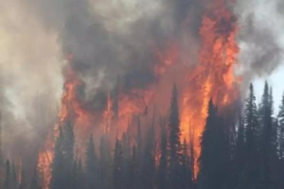 Signs of Recovery Two Years after Large Idaho Fire