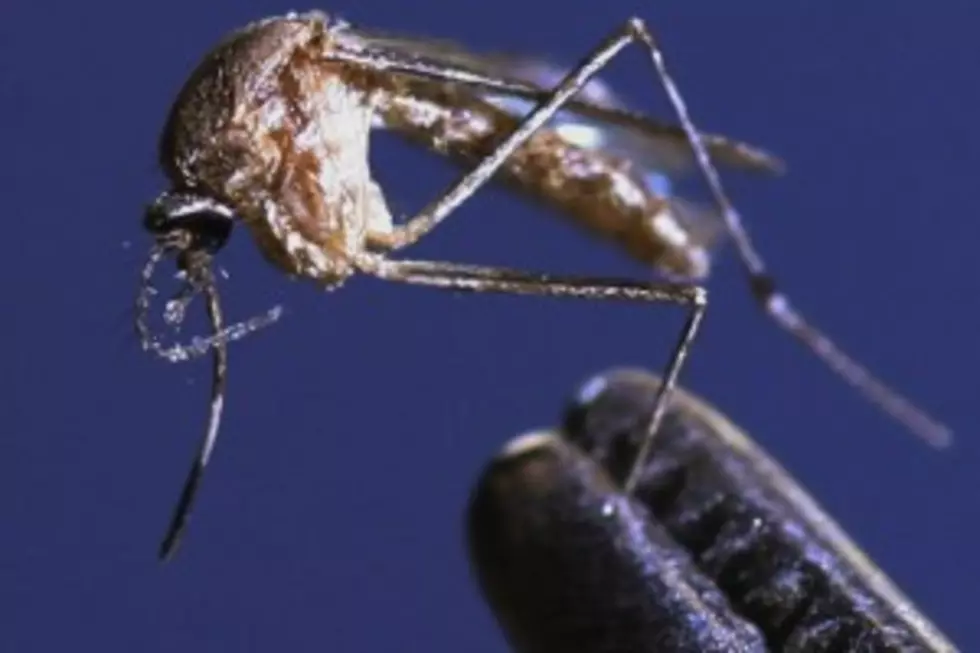 Officials Expect Fewer Cases of West Nile in the Magic Valley