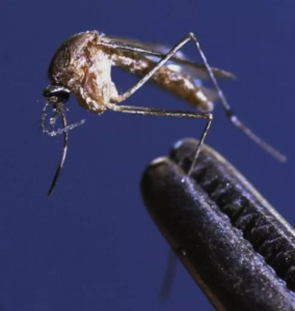 First Case of Human West Nile Virus Found in Magic Valley