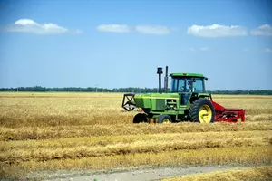 Idaho Seed Company Pleads to Mislabeling as Organic