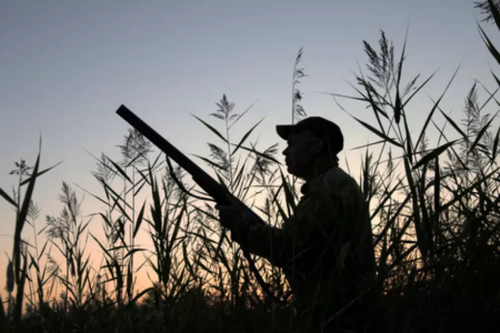 Fish and Game Sets Idaho’s Migratory Game Bird Seasons