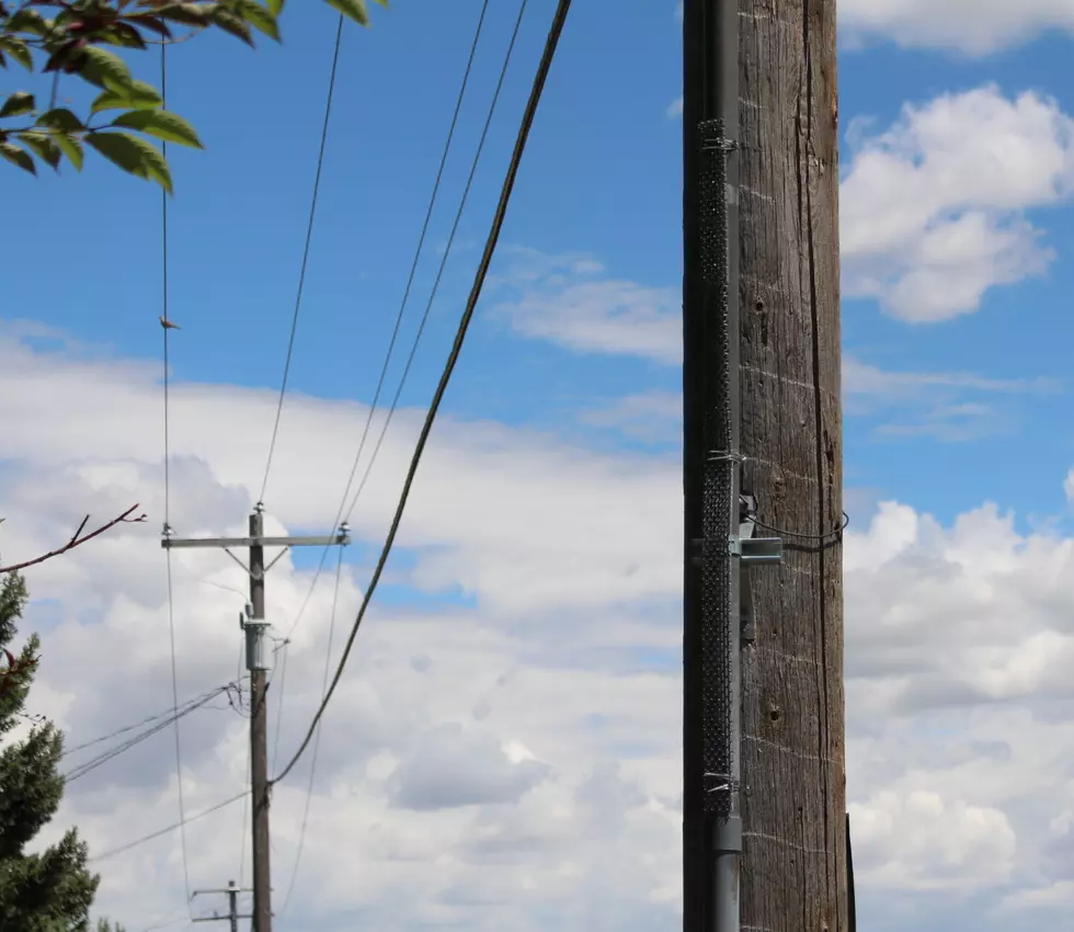 Idaho Power: Don’t Post Your Flyers or Signs on Utility Poles