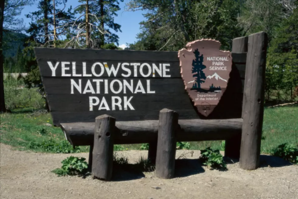 Illegal Visitor Backs Into Yellowstone Geyser; Burns Half Of Body