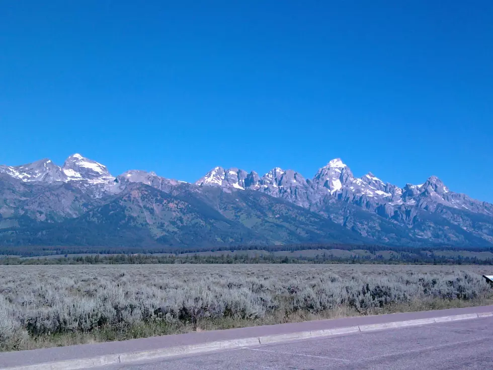 Growing Rock Fissures Close Grand Teton Tourist Attraction