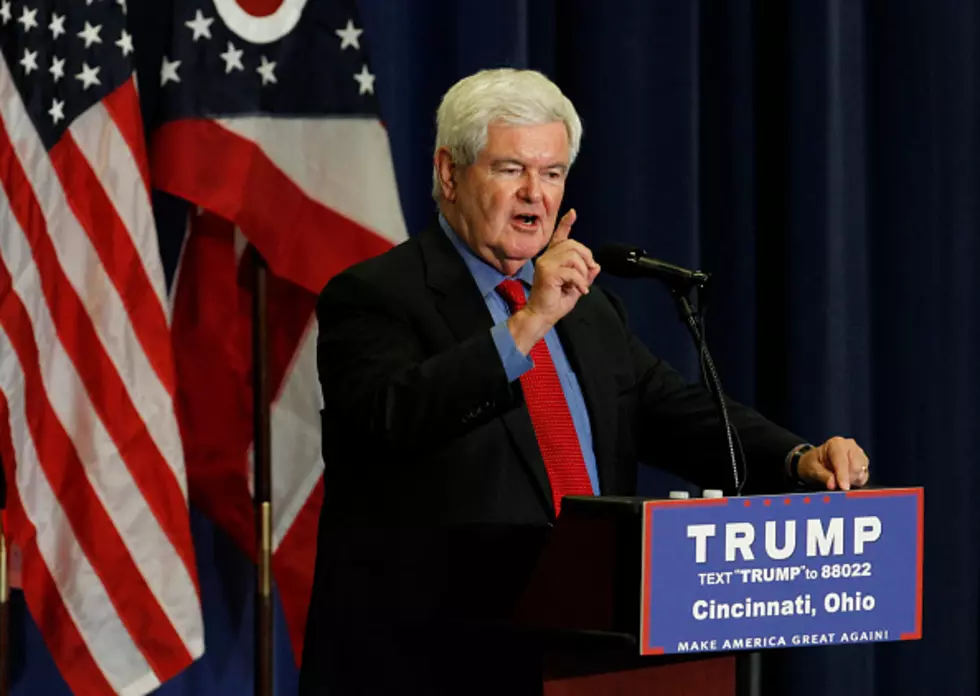 An Endorsement for a VP Newt Gingrich