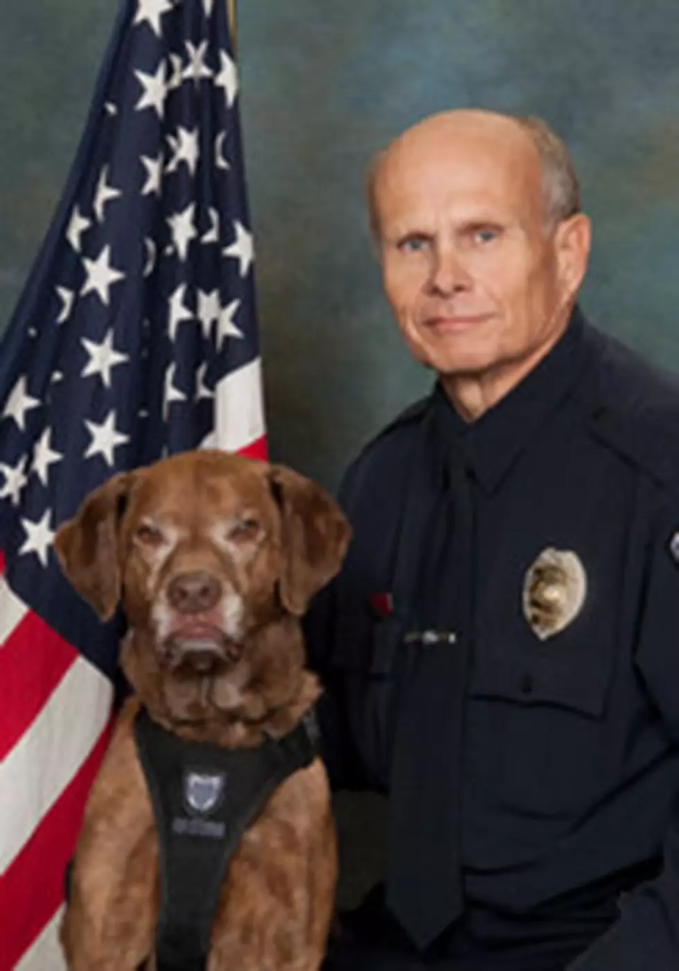 Police Chief Injured, Dog Dies After Vehicle Rear-Ended