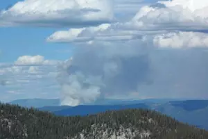 Crews Fighting Wildfire in Remote Area of Central Idaho