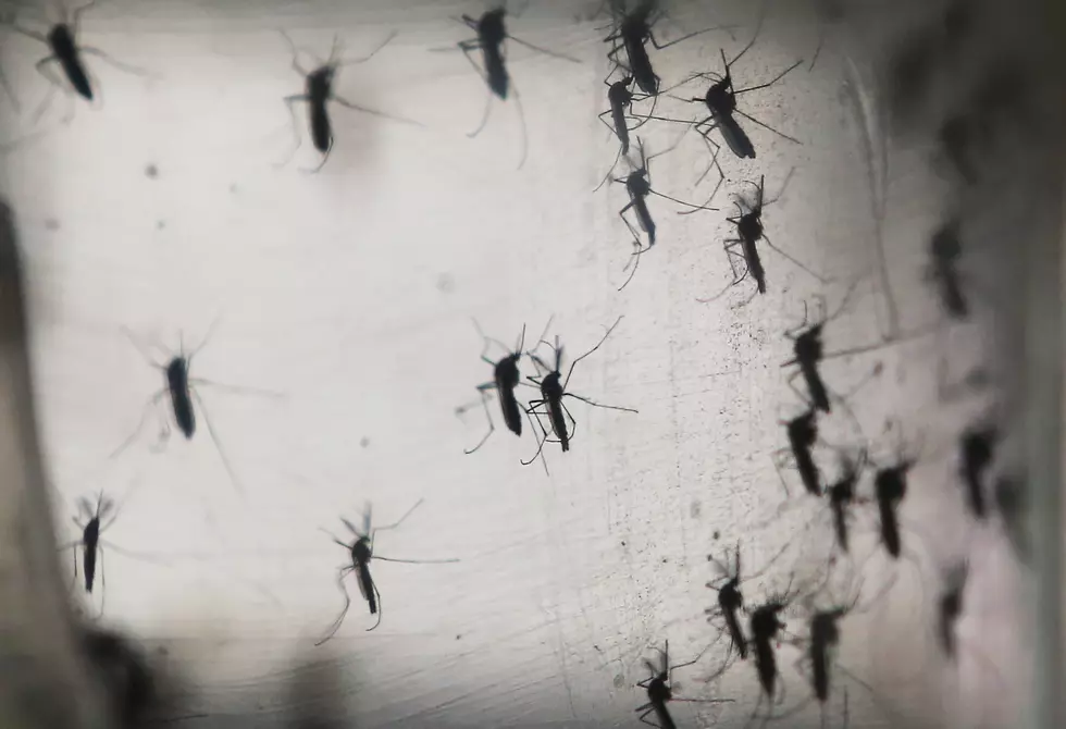 Utah Man Caring for Father Contracts Zika