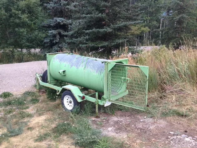 Fish and Game Still Trying to Trap Wandering Black Bear near Pocatello