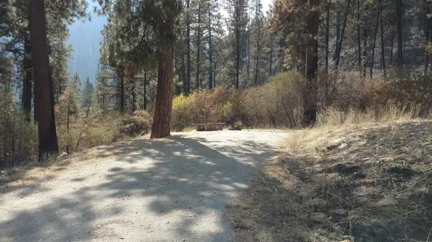 Burnouts Stop Wildfire from Reaching Central Idaho Town