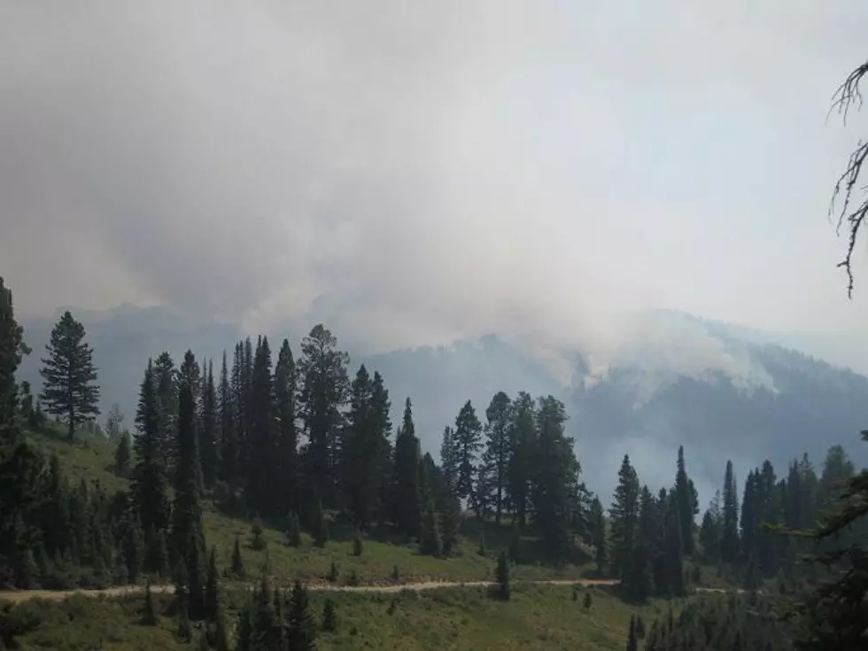 Crews Bolster Fire Lines to Contain Central Idaho Wildfire