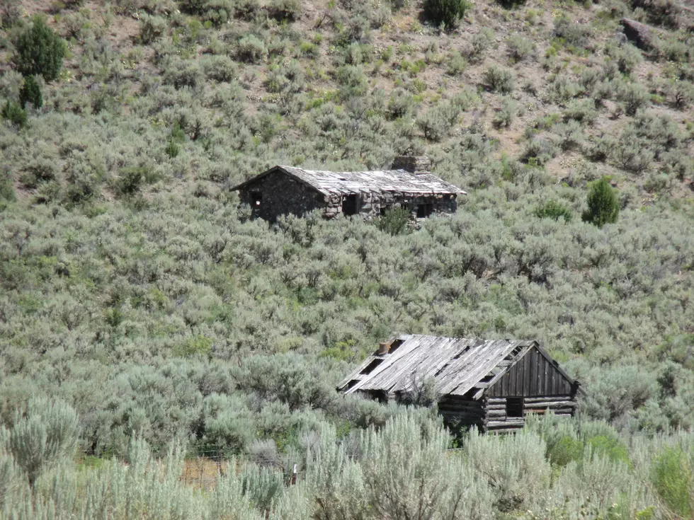 Feds Release Plan to Protect Western Sagebrush Country