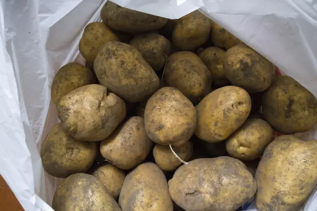 US Approves 2 Types of Genetically Engineered Potatoes