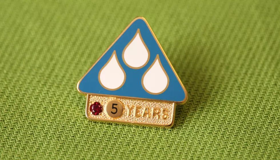 Idaho Dairymen Receive Five Year Service Pin