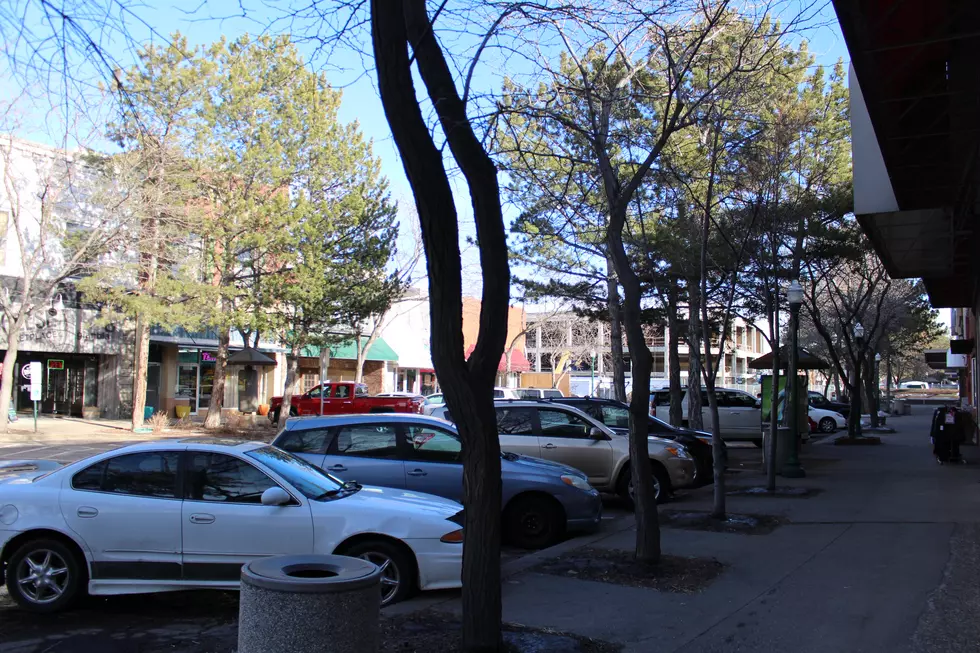 Tree Removal Prepares Way for Five-block Renovation Project