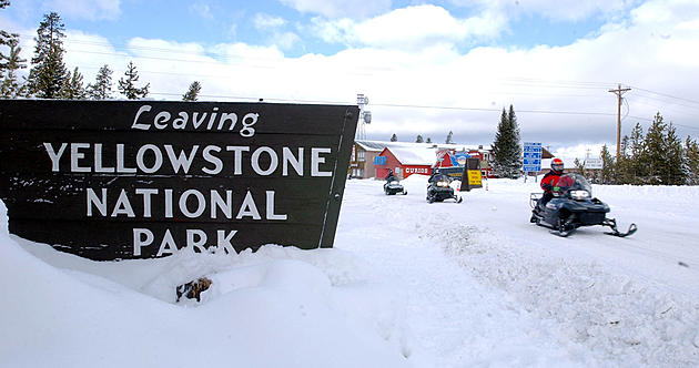 Yellowstone Starts Opening Roads Today