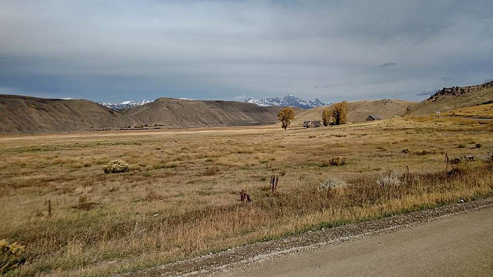 Idaho, Montana & Wyoming Get Poor Green Grades