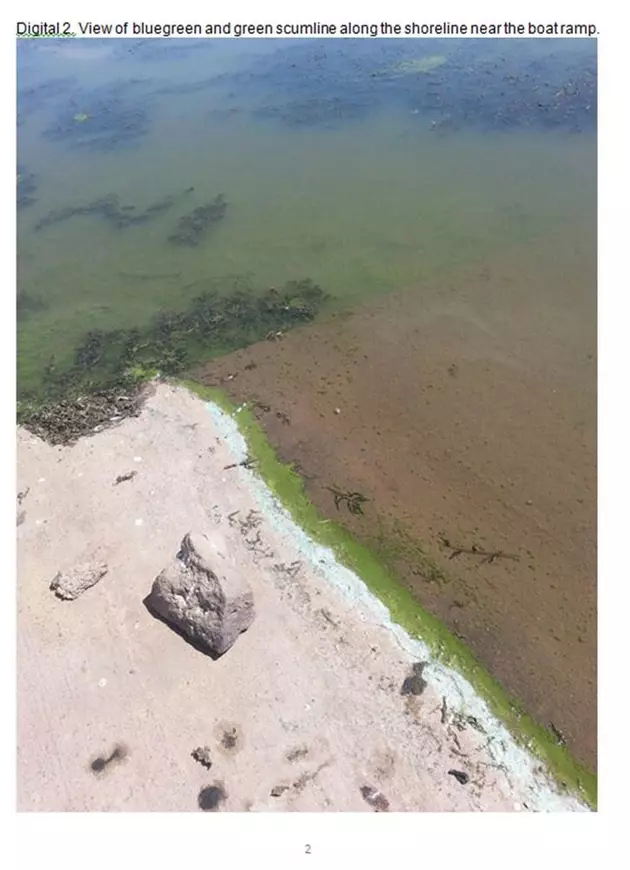 Mormon Reservoir Test Positive for Toxic Algae Bloom