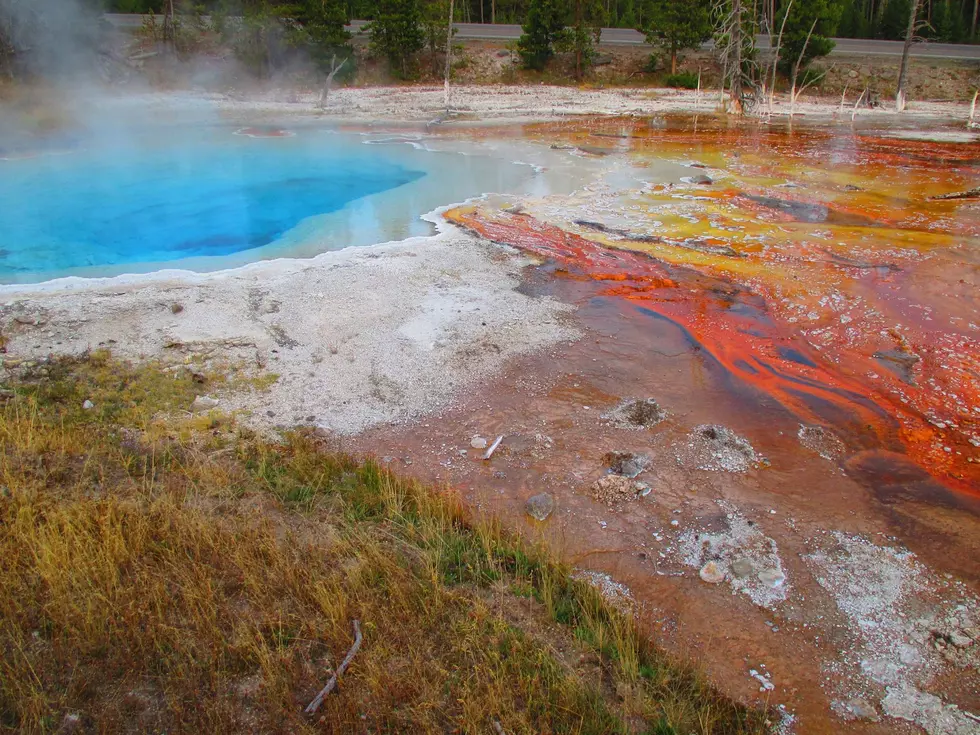 Man cited for walking on Yellowstone Park hot spring