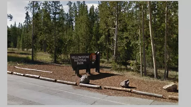 More Than 803,000 Visit Yellowstone Park in June