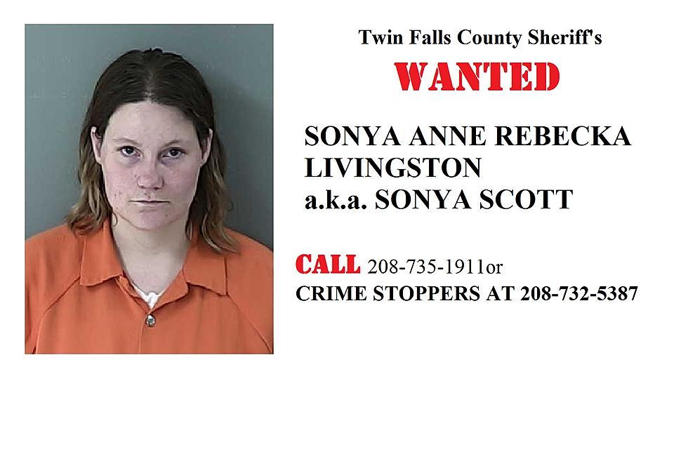 Wanted: Sonya Livingston