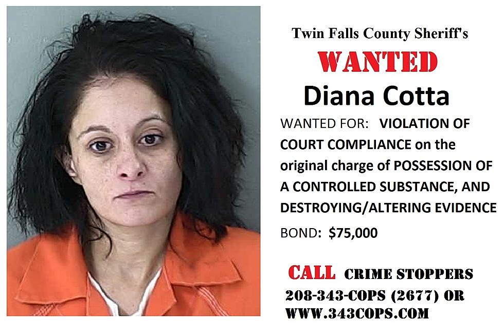 Wanted: Diana Cotta