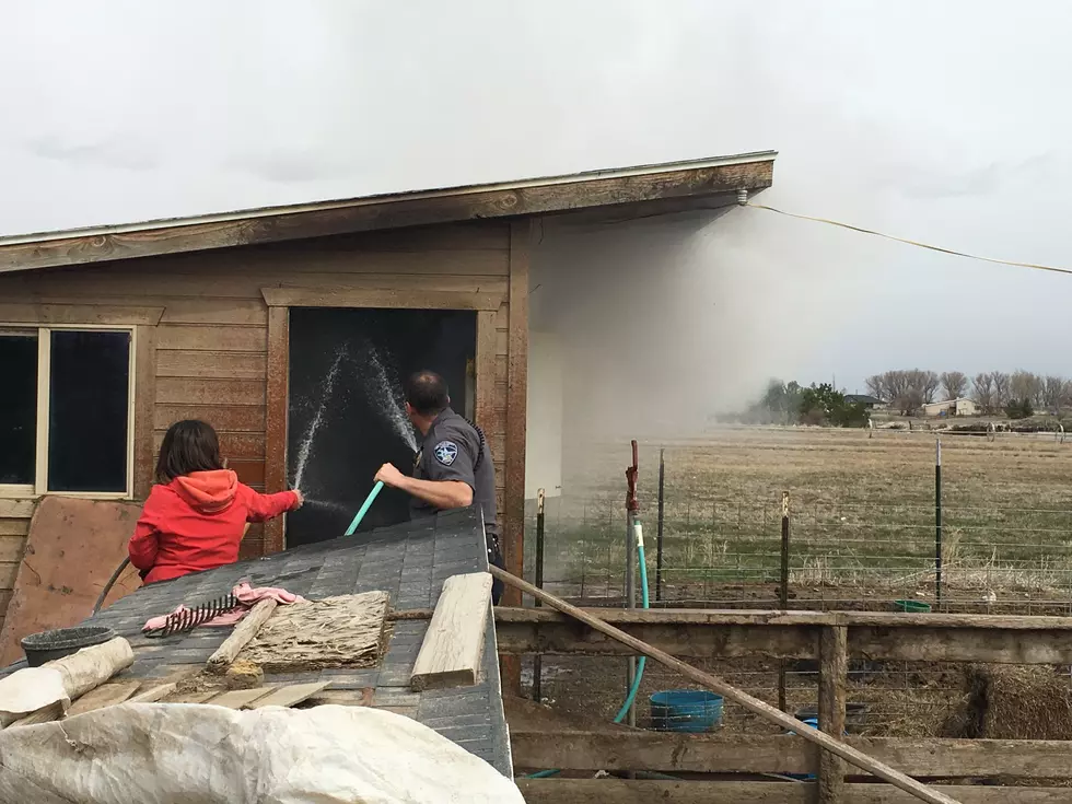Twin Falls Deputy Helps Save Animals in Burning Shed