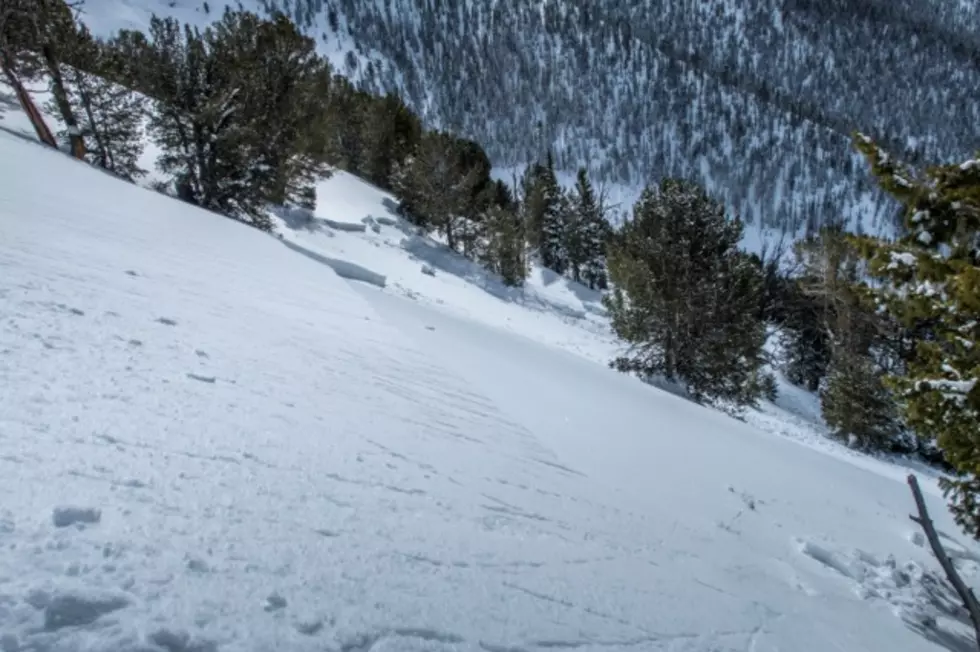 Multiple Human-triggered Avalanches Reported