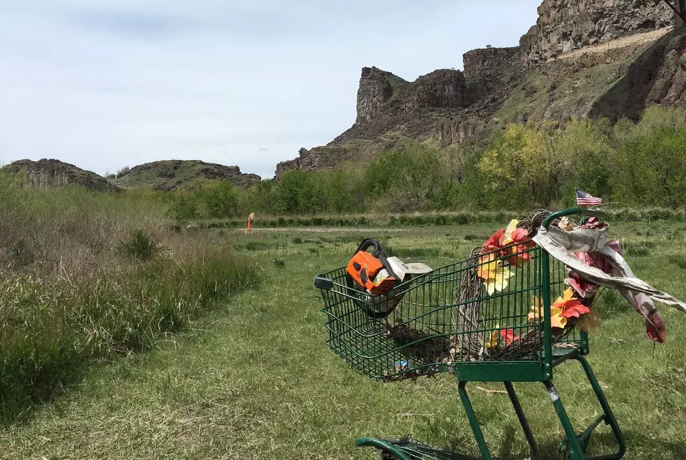 Twin Falls: Celebrate Earth Day With Perrine Bridge Clean Up