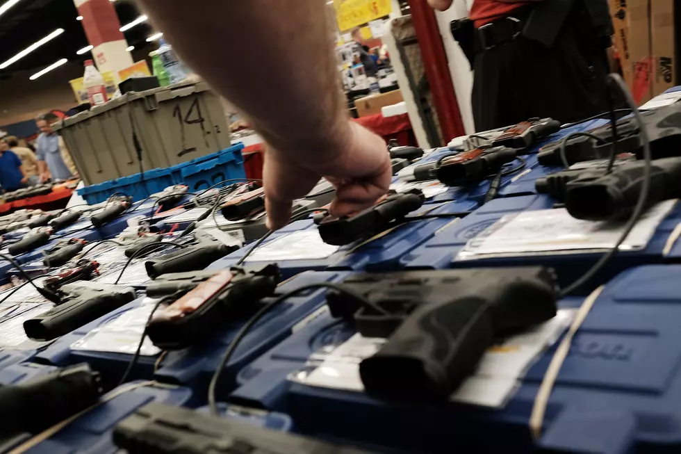 Gun Show Ban Lifted at Expo Idaho by County Officials