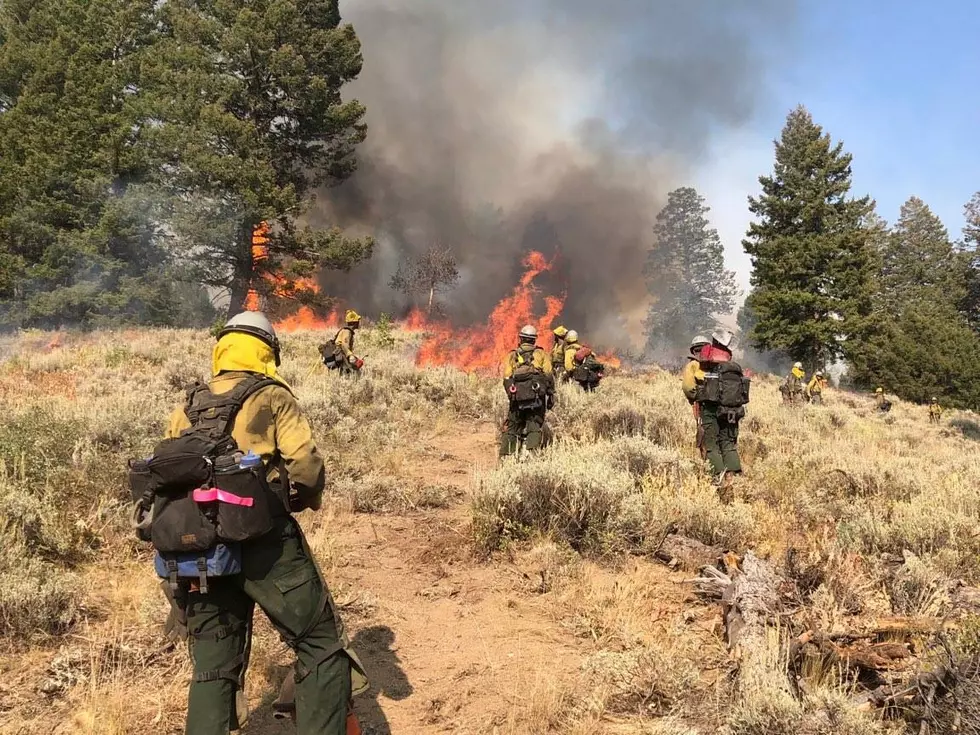 BLM Closes Public Lands Near Fire in Camas County