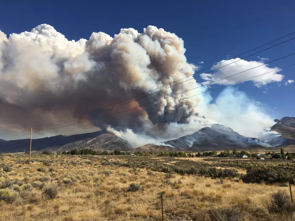 Nine Trapped by Nevada Wildfire Escorted to Safety