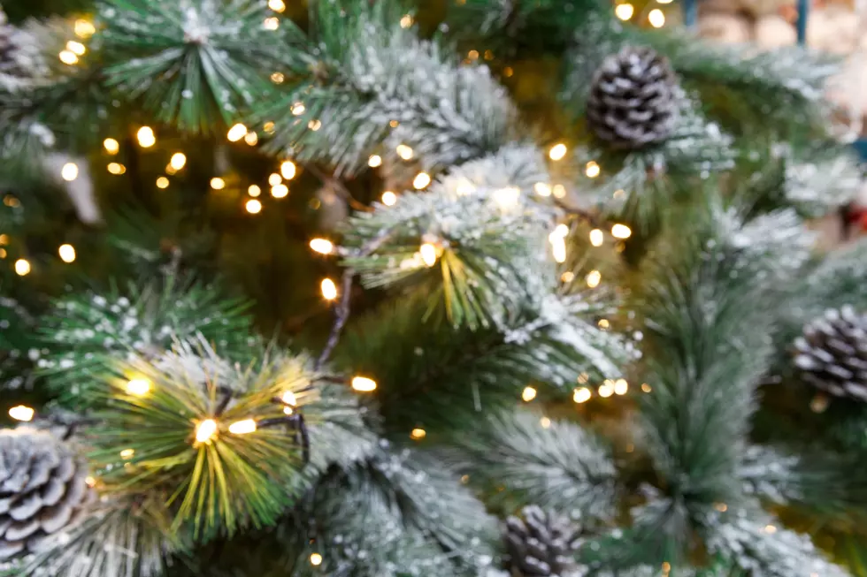 What’s Your Favorite Christmas Tree, Real or Fake? [COLUMN]