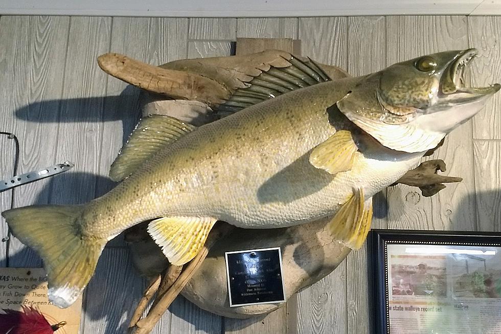Record Fish Still Hangs On Back Wall Of South Idaho Gas Station
