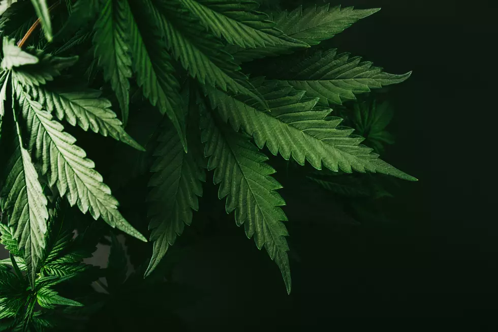Oregon May Consider Exporting Marijuana to Other States