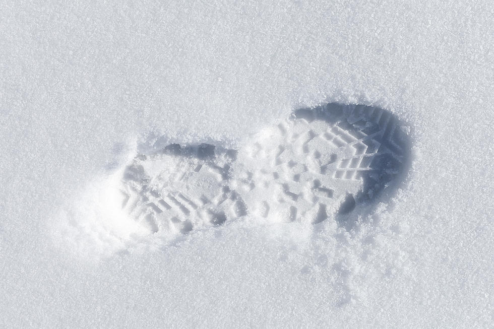 Idaho Deputies Use Tracks in the Snow to Find Suspected Burglar