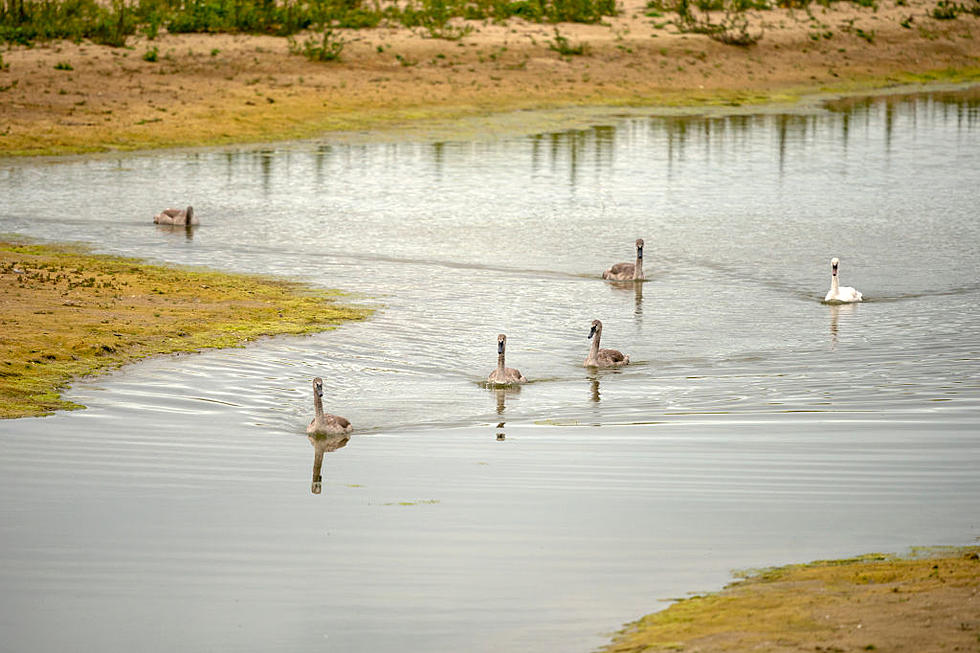 Navy Veteran Jailed For Digging Ponds On His Property