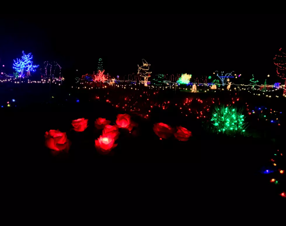 Orton Botanical Garden Decorates for the Holidays