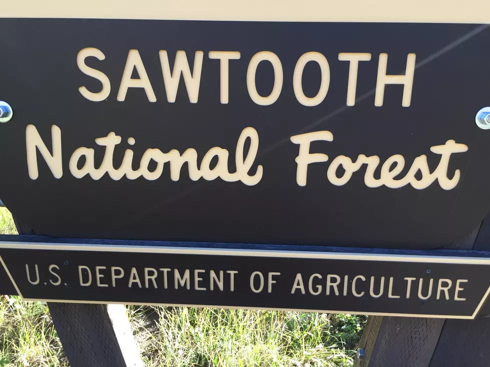 New Supervisor to Take Over Sawtooth National Forest
