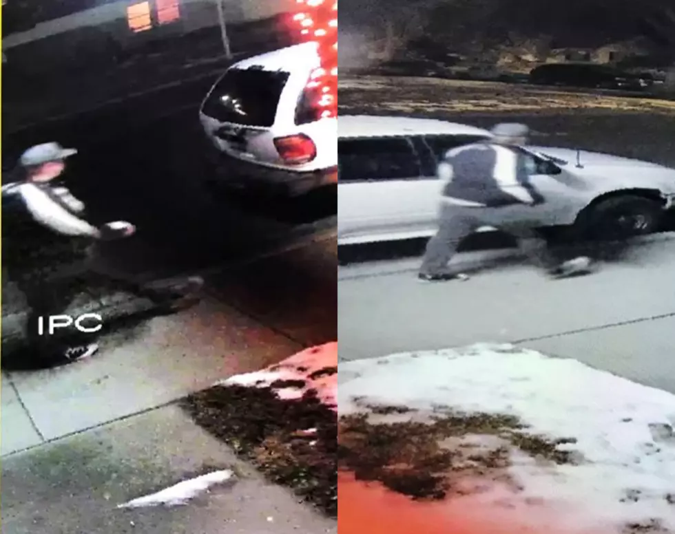 Twin Falls Police Department Asking For Help Identifying Suspect in Car Vandalism Incidents