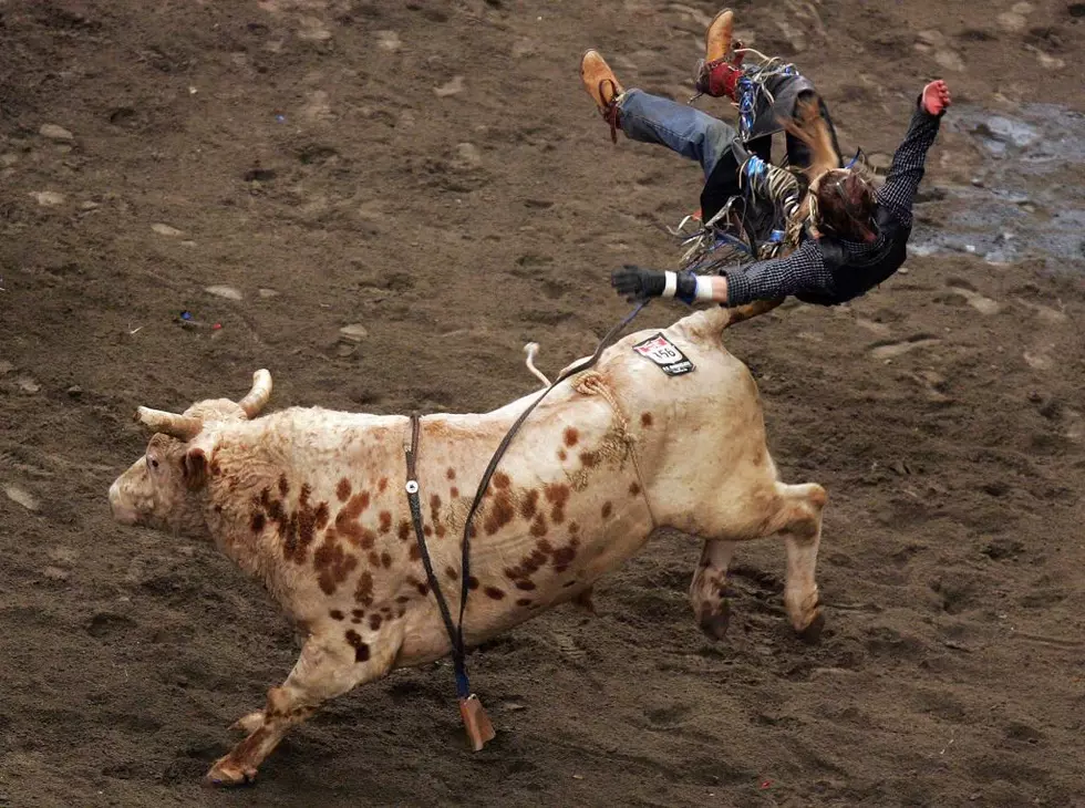 Animal Rights Clowns Try Banning Rodeo