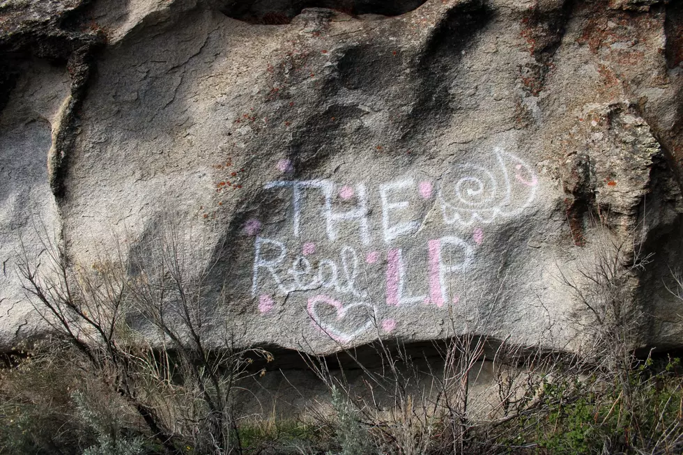 Group Secures Donations for Defaced Site at City of Rocks