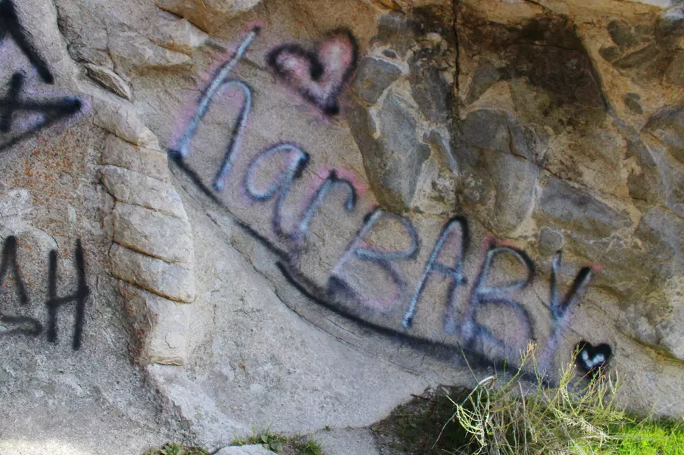 UPDATE: Investigators Asking for Tips on City of Rocks Vandalism