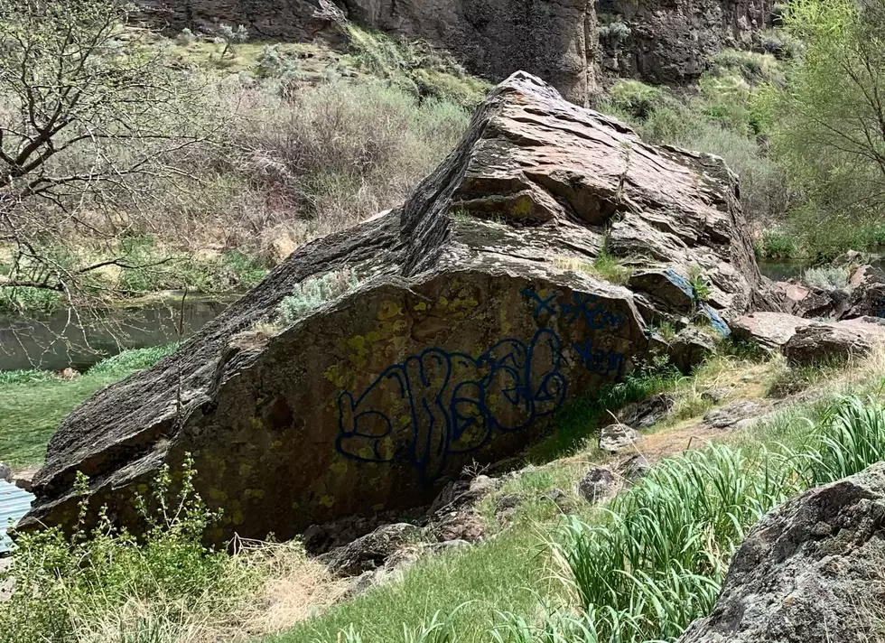 Vandals Strike Balanced Rock Area