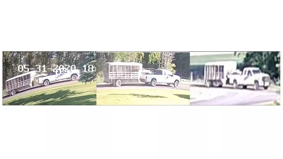 Twin Falls Police Release Images of Truck Involved in Fatal Hit-and-Run